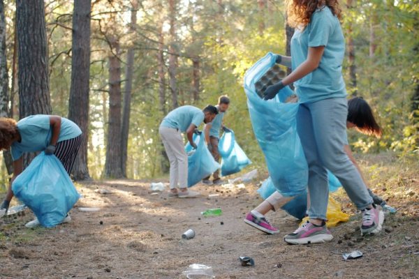 Activite developpement durable en entreprise