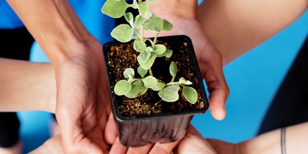 Activite ecologique en entreprise