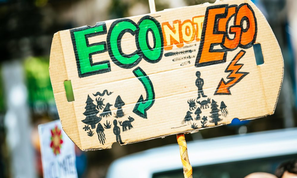 Pancarte en carton avec l'inscription Eco not Ego, illustrant la prise de conscience environnementale et l'engagement RSE lors d'une activité écologique