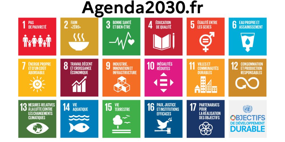 ODD et RSE formant un systeme unique de creation d impact