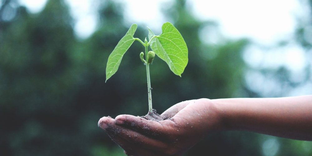 Séminaire de développement durable, transition écologique et jeux sérieux environnementaux